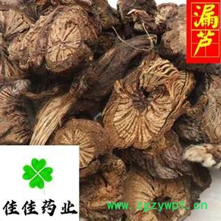 漏芦 统货 过筛 供应各种中药材 中草药 产地 吉林省图2