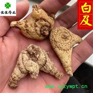 白及大统个 纯干货 三叉白及正品 白芨 供应各种营造出 产地 云南省图4