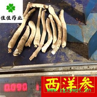 西洋参 西洋参个 选 60支 实物图 产地直销 供应各类中药材 名贵药材 冷背货 矿石等 产地 吉林省图4