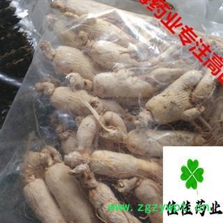 白参 选 35支左右 人参 生晒参 产地 辽宁省 长白山白参 供应各种中药材图3