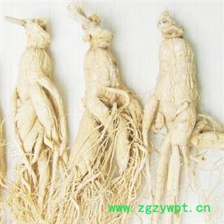 白参 选 35支左右 人参 生晒参 产地 辽宁省 长白山白参 供应各种中药材图4