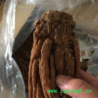 亳州花田错药  当归   无硫磺图2