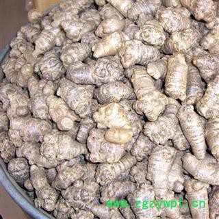 【录建药业】三七 无数头 产地 云南省文山壮族苗族自治州文山县图3