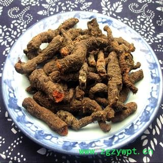 血三七 统个 产地 湖北神农架图2