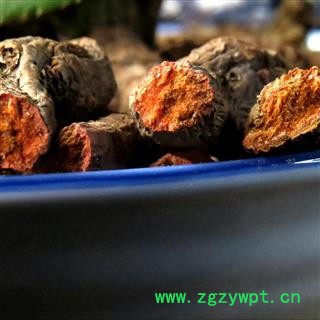 血三七 统个 产地 湖北神农架图3