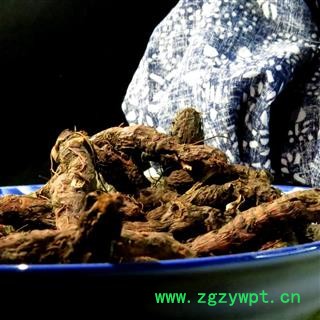 血三七 统个 产地 湖北神农架图4