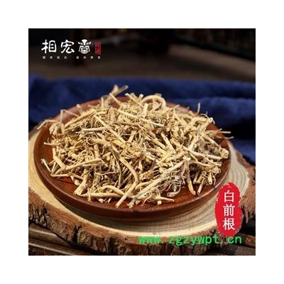 白前 选 产地 湖北省
