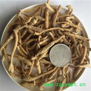 太子参 太子参中选240 产地 贵州省安顺市平坝县图2