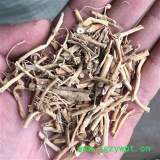 白前 选装 一级货 无硫 含量高 诚信铸就未来 产地 湖北省图2