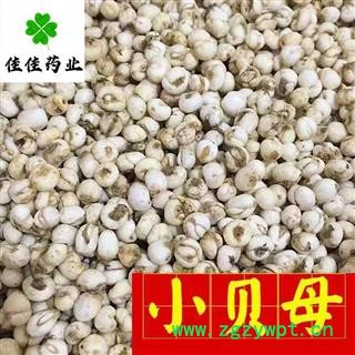 平贝母 平贝母小珍珠 小平贝母 选装 0.8 小选 供应各种中药材 产地 吉林省图3
