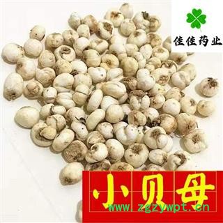 平贝母 平贝母小珍珠 小平贝母 选装 0.8 小选 供应各种中药材 产地 吉林省图2