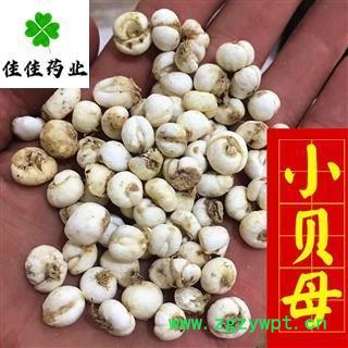 平贝母 平贝母小珍珠 小平贝母 选装 0.8 小选 供应各种中药材 产地 吉林省图4