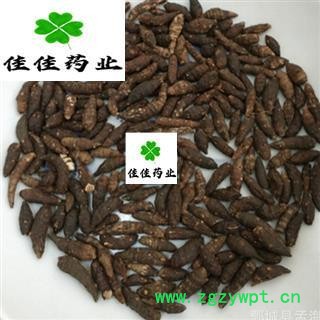 香附 光香附大统个 产地直销 实物图 供应各种中药材 冷背货 矿石等 产地 海南图2