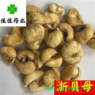 浙贝母 选装 大浙贝母 大贝 纯干货 供应各种中药材 产地 浙江省图4