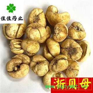 浙贝母 选装 大浙贝母 大贝 纯干货 供应各种中药材 产地 浙江省图3