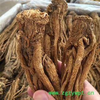 亳州花田错药业 全当归个   无硫磺   地道药材图2