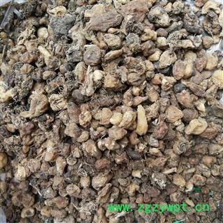 选货山慈菇大个山慈菇 非毛慈菇 原色大统货 产地 云南省临沧市图3
