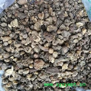 选货山慈菇大个山慈菇 非毛慈菇 原色大统货 产地 云南省临沧市图4