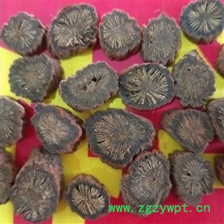 无硫山东 紫丹参精选片10号筛以上(含量高、包全检)产地 山东省图2