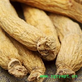 【录建药业】人参 生晒参20头 产地 吉林省吉林市昌邑区图3