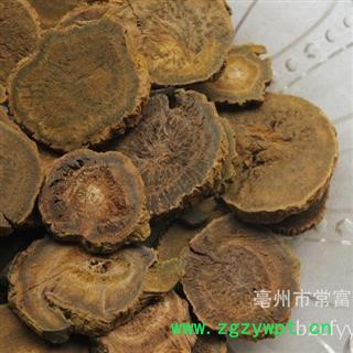 【录建药业】四川马蹄大黄 无熏硫大统货1000克 产地直销 重在品质 过筛无杂质 味道浓郁 药劲十足  规格齐全 批发零售抓方打粉图3