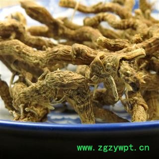 铁扁担 选货 产地 重庆市县巫山县图4