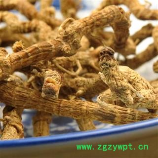 铁扁担 选货 产地 重庆市县巫山县图2