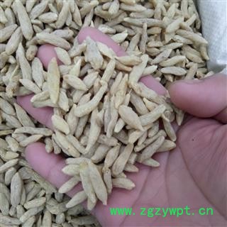 川麦冬 无硫选货 产地 四川省图2