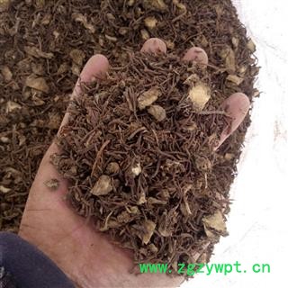 主产区大货 紫菀 无硫水洗切丁 干净无杂质 选货 干度好 亳州蕴乾药业 品种齐全 价格公道图3