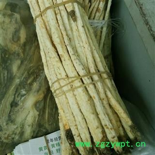 道地珍品  内蒙食用沙参  带头个子  隆兴中药材图3