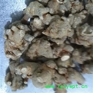 【三七 三七60头 】产地 云南省文山壮族苗族自治州砚山县图2