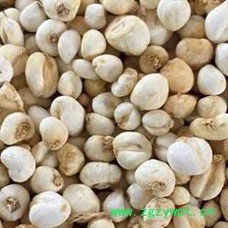 平贝母 平贝母小珍珠 0.5左右 选货 小贝母 实物图 产地 吉林省图4