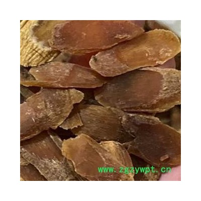 红参片 红参无糖小选斜片 产地直销 纯干货 产地 吉林省