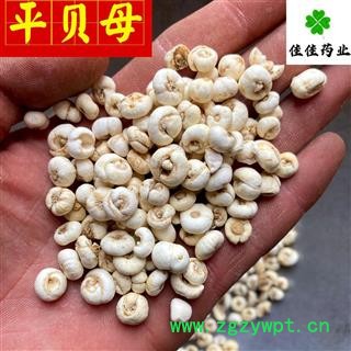 平贝母 小平贝母 实物图 降价促销 小贝母 供应各种中药材 产地 吉林省图3