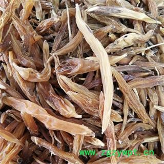 天冬 天门冬野生天冬，产地 云南，广西图4