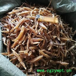 天冬 天门冬野生天冬，产地 云南，广西图2