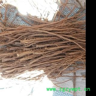 精选过筛柴胡段  精选柴胡切段选货  无硫纯天然农家自产柴胡切段  产地甘肃省陇南市宕昌县图4