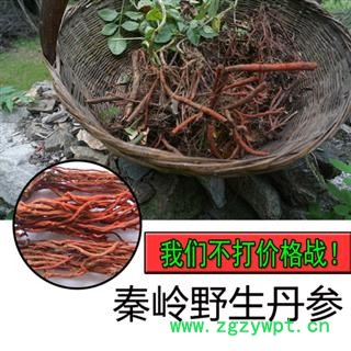 秦岭野生丹参丹参片无硫丹参中药材丹参茶丹参段500g图3