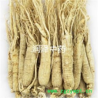 【人参生晒参】【润泽中药】中药材批发供应 规格齐全 量大从优图2