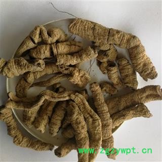 巴戟天  产地 广东省清远市阳山县图3