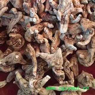 (包邮)特级三叉白芨图3