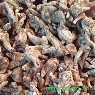 (包邮)特级三叉白芨图2