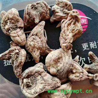 （包邮）特级三叉白芨图4