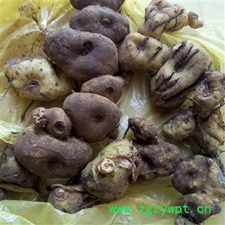 (包邮)云南特级滇黄精图3