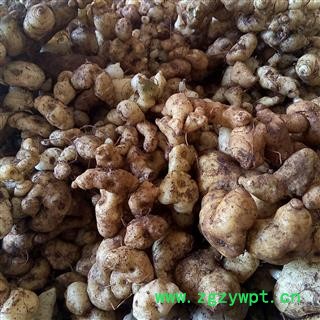 (包邮)云南特级滇黄精图2