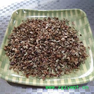 正宗岷归“三年生”当归籽   新货真品籽种,绝不是市面上流通的火当归籽    质量、出苗保证   甘肃陇南宕昌图3