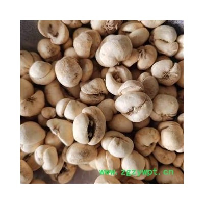 浙贝母 选个 产地 浙江省