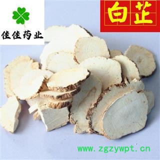 白芷 选 大选片 大片 颜色好 白芷片 产地直销 供应各种中药材 产地 山东省图2