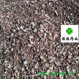 丹参 大统货 甘肃丹参 产地直销 量大从优 供应各种中药材 产地 甘肃省图4