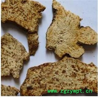 茗生春生物科技 支持打粉，生苍术 统图2